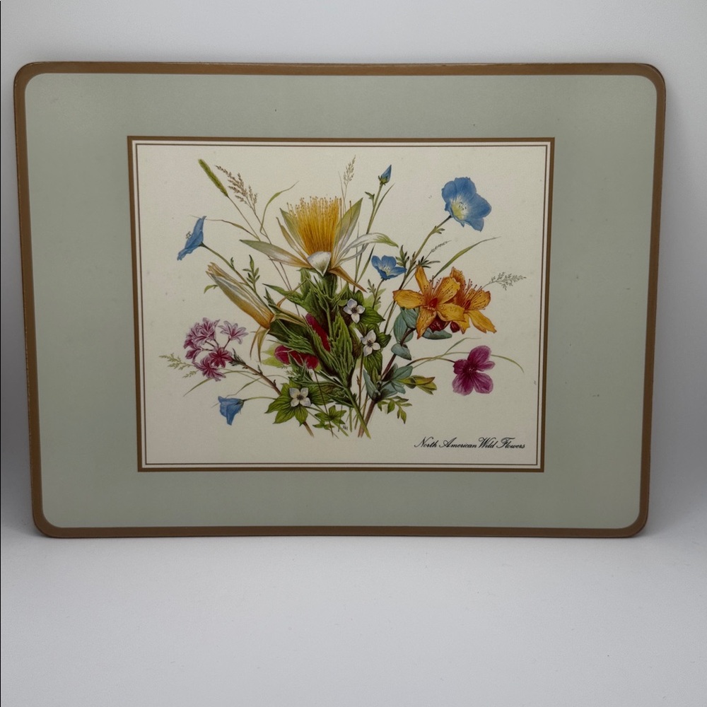 🌸 PIMPERNEL North American Wild Flowers 4 Placemats Floral Cork-Backed Mats - Picture 5 of 7